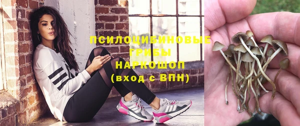 стаф Горно-Алтайск