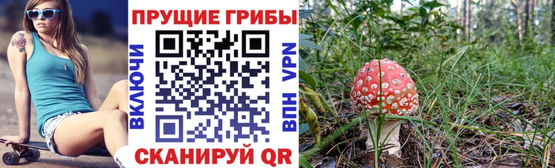 ОМГ ОМГ как зайти  Духовщина  Галлюциногенные грибы мухоморы 